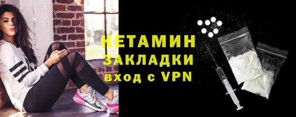 СК Пересвет