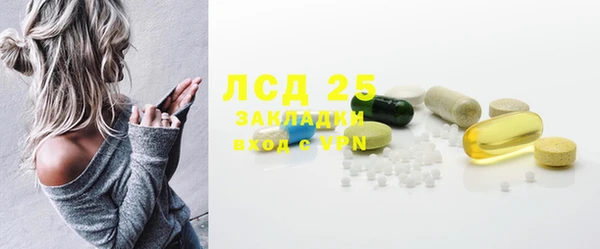 СК Пересвет