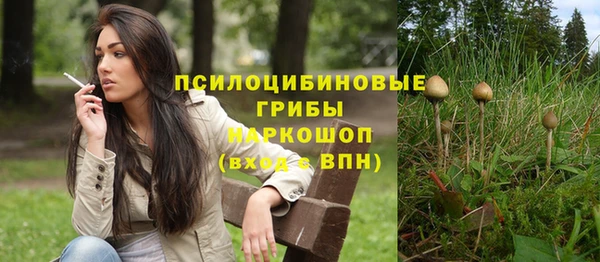 mix Пестово