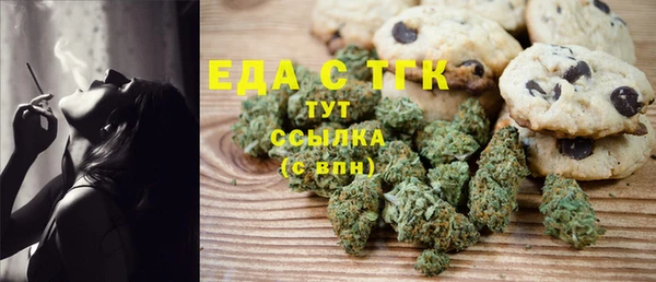 СК Пересвет