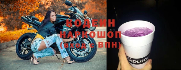 СК Пересвет