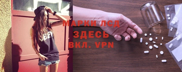 СК Пересвет