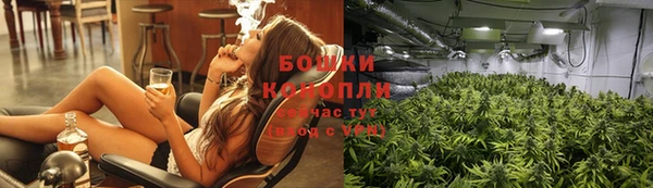СК Пересвет