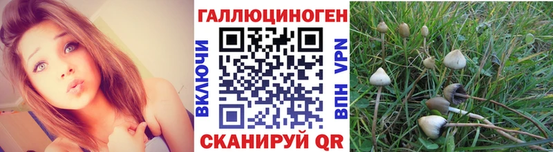 Псилоцибиновые грибы ЛСД  где продают наркотики  гидра ссылка  Суздаль 